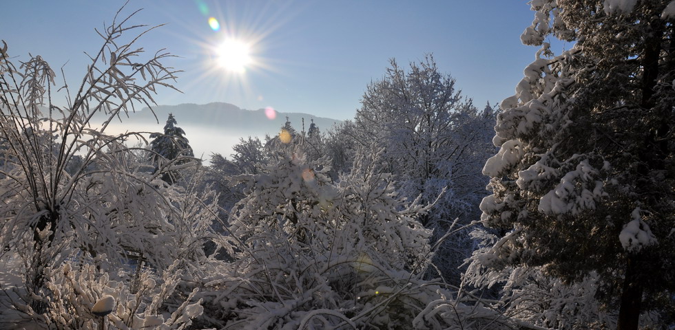 weiberhof landschaft